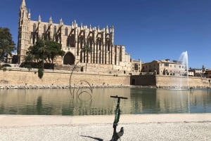 Mallorca: Premium E-Scooter Rental with Delivery Option