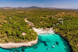 Mallorca Premium: Private Beach Day with Snorkel & SUP