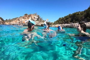 Mallorca Premium: Private Beach Day with Snorkel & SUP