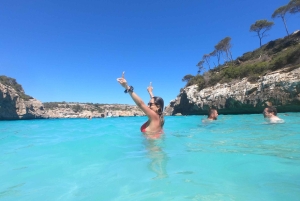 Mallorca Premium: Private Beach Day with Snorkel & SUP
