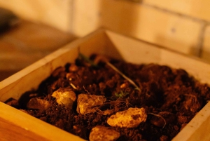 Maiorca: degustazione di vini di alta qualità in una lounge privata