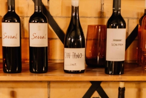 Maiorca: degustazione di vini di alta qualità in una lounge privata