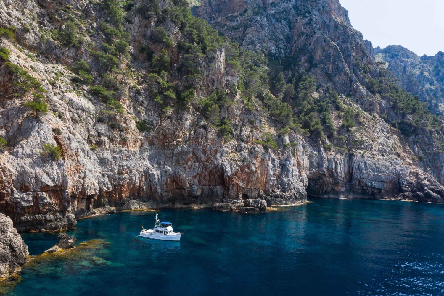 Maiorca: Passeio de barco privado em Palma de Maiorca