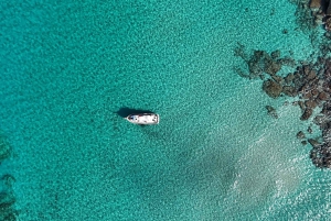 Mallorca: Privat båttur i Palma de Mallorca