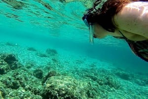 Mallorca: Bay of Palma Private Cruise with Snorkeling