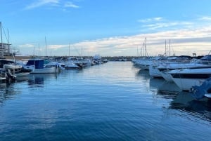 Mallorca: Private Boat Tour with Snorkeling & Snacks