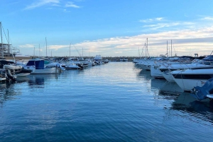 Mallorca: Private Boat Tour with Snorkeling & Snacks