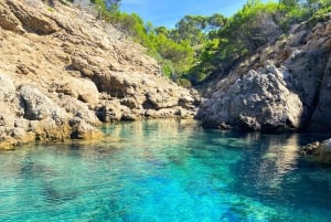 Mallorca: Private Boat Trip to Alcudia, Pollensa & Formentor