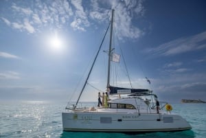 Mallorca: Privat heldagscruise på katamaran