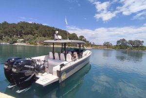 Mallorca: Privat heldagskryssning på en lyxig motorbåt