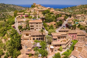 Mallorca: Privat heldagstur med lokal guide
