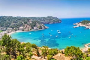Mallorca: Privat heldagstur med lokal guide