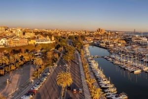 Mallorca: Privat heldagstur med lokal guide