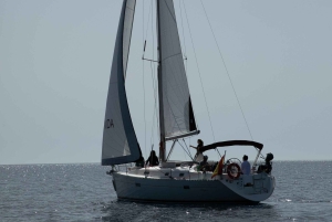 Mallorca: Excursión privada en velero con patrón