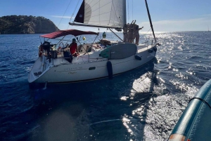 Mallorca: Excursión privada en velero con patrón