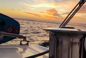 Mallorca: Excursión privada en velero con patrón