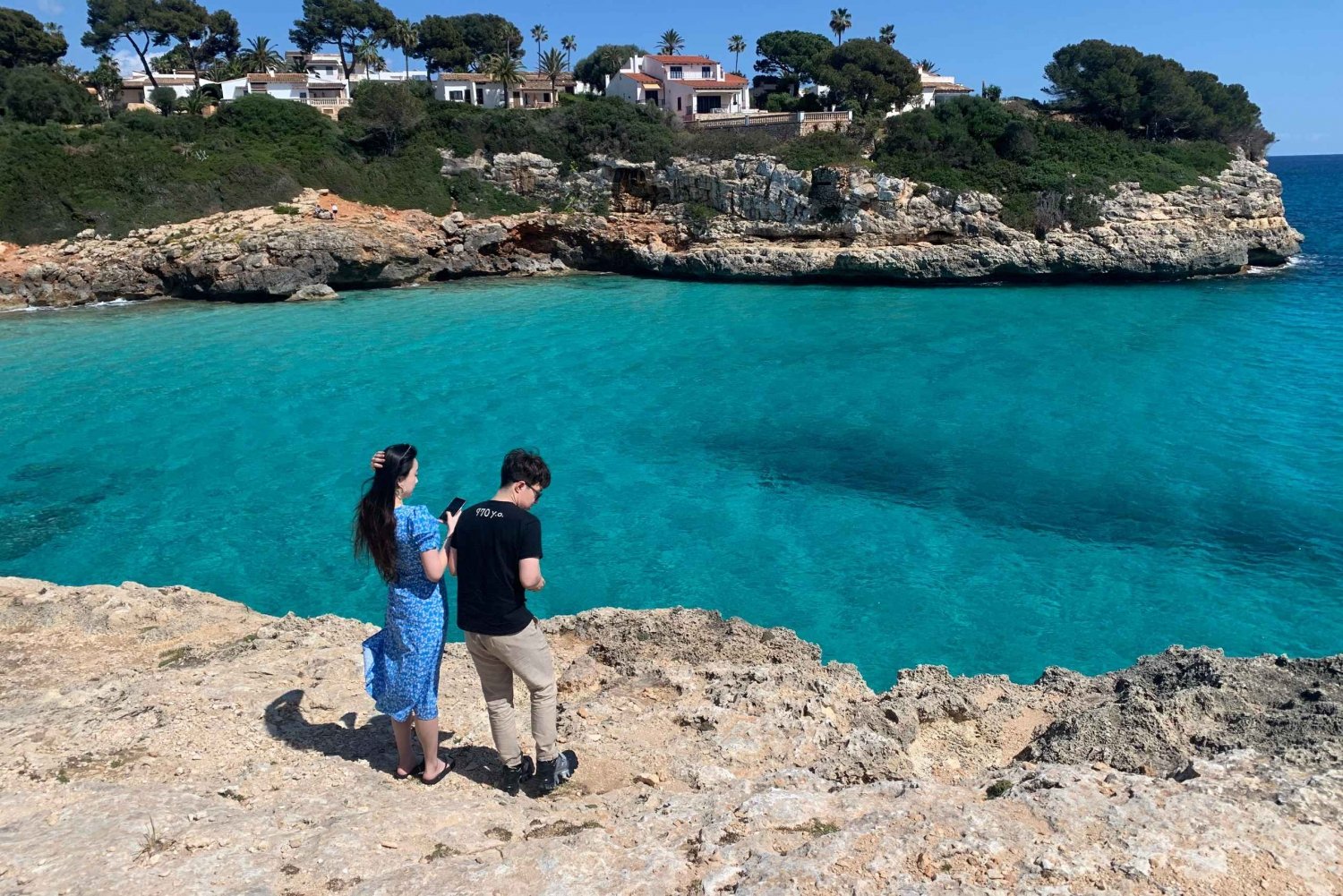 Mallorca: Tour privado - Cuevas, Playas y Vinos