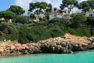 Mallorca: Tour privado - Cuevas, Playas y Vinos