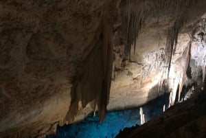 Mallorca: Tour privado - Cuevas, Playas y Vinos