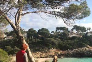 Mallorca: Tour privado - Cuevas, Playas y Vinos