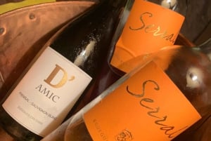 Mallorca: Tour privado - Cuevas, Playas y Vinos