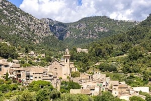 Mallorcan yksityinen kierros: Valldemossa, Sóller ja paljon muuta
