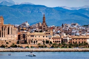 Mallorca: Private Tour with Ensaïmada & Fast Cathedral Entry