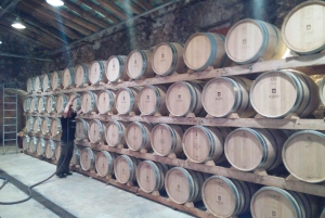 Mallorca: Private Wine Tour with Tasting and Picnic