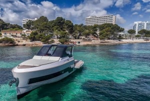 Mallorca: Privat yachtkryssning med snorkling och drycker