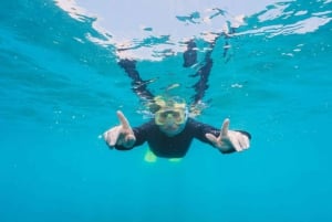 Mallorca: Privat yachtkryssning med snorkling och drycker