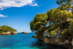 Mallorca: Privat yachtkryssning med snorkling och drycker