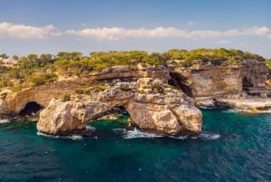 Mallorca: Privat yachtkryssning med snorkling och drycker