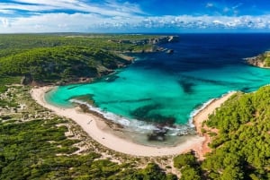 Mallorca: Privat yachtkryssning med snorkling och drycker