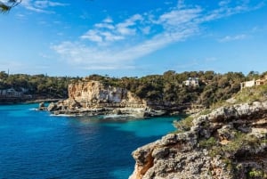 Mallorca: Privat yachtkryssning med snorkling och drycker