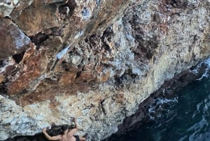 Majorka: Psicobloc / Deep Water Soloing (DWS)