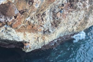 Majorka: Psicobloc / Deep Water Soloing (DWS)