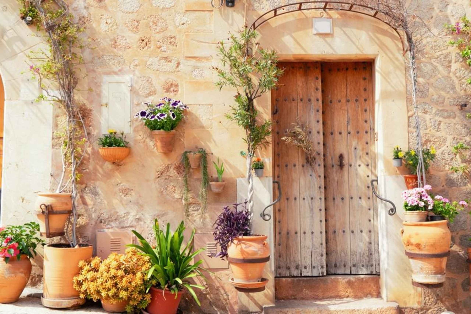 Mallorca: Puerto de Sóller och Valldemossa, morgonutflykt