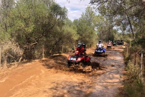 Mallorca: Forest and Beach Quad Adventure Tour