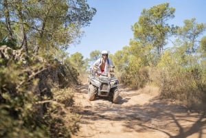 Mallorca: Quad Bike Tour with Snorkeling and Cliff Jumping