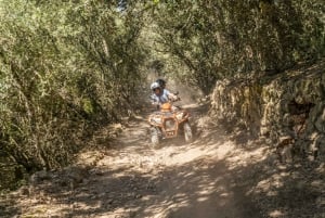Mallorca: Quad Bike Tour mit Schnorcheln und Klippenspringen