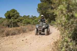 Mallorca: Off-Road Quad Bike Tour with Outdoor Activities
