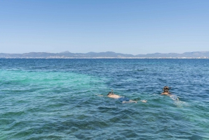 Mallorca: Off-Road Quad Bike Tour with Outdoor Activities