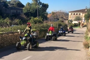 Mallorca: Quadtour met strandstop en uitzicht op de bergen