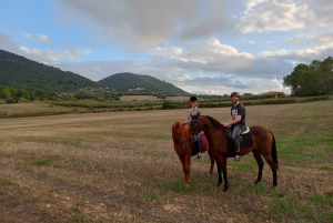 Randa: Guided Horseback Ride With Sunset View & Drinks