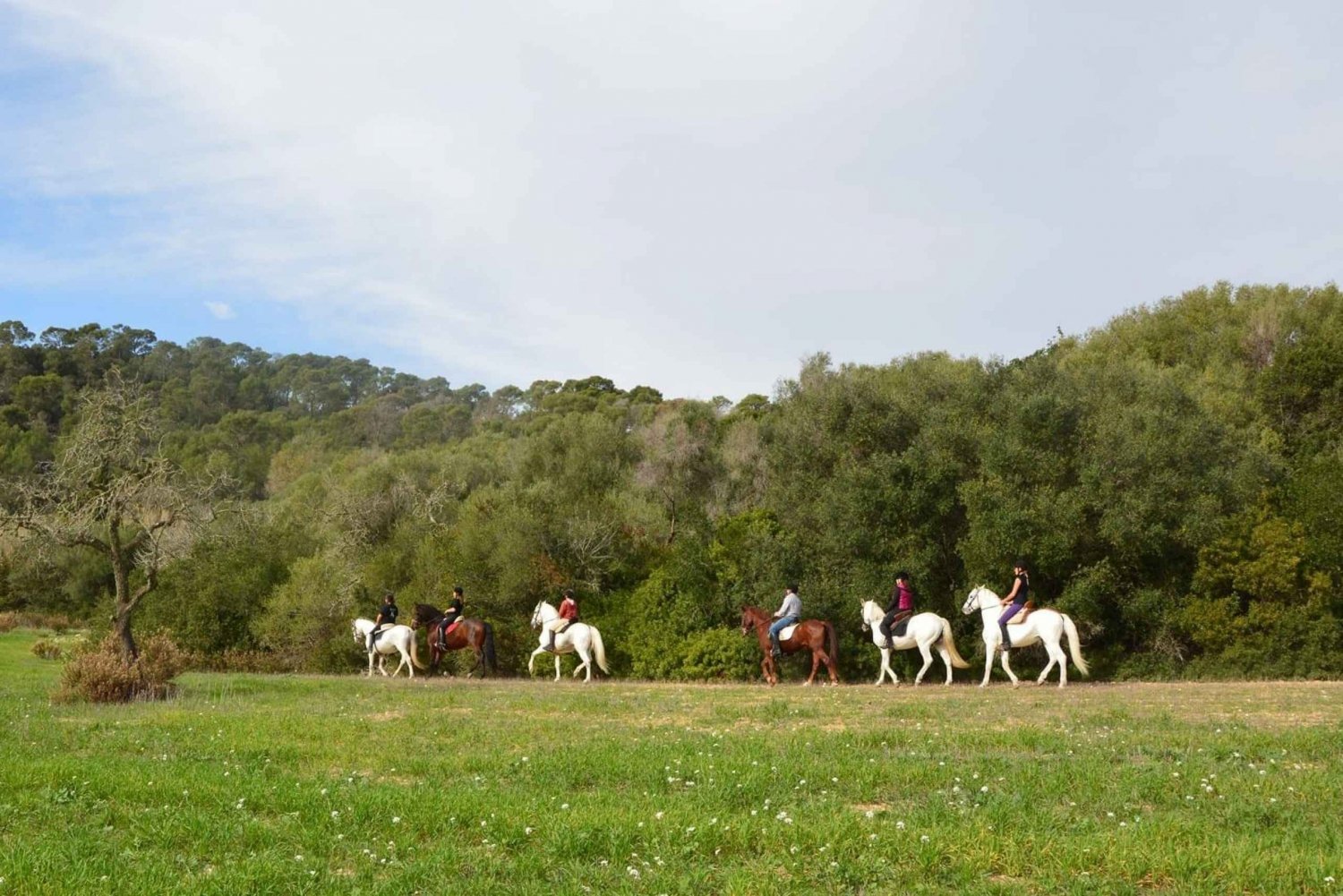 Mallorca: Randa Valley Horseback Ride with Picnic