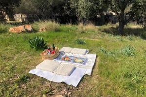 Mallorca: Aktivitet, antikke Mallorca med piknik