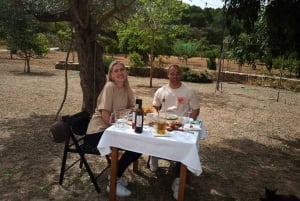Mallorca: Aktivitet, antik Mallorca med picnic