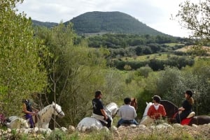 Mallorca: Atividade, Antiguidade em Mallorca com piquenique