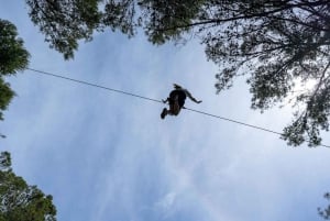 Mallorca : Reserva Park sisäänpääsylippu luontoon ja eläimiin