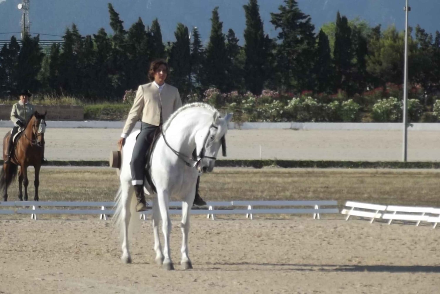 Майорка: урок верховой езды, высшая школа